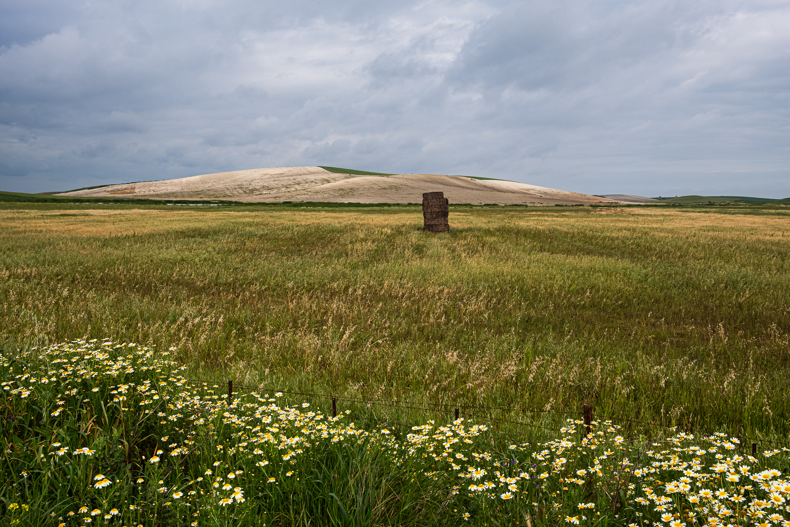 Vier Platten, eine Fähre und die Prozession an der Plaza San Francisco